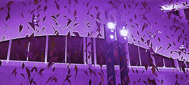 adriana-neiman-marcus-142 adriana-neiman-marcus-142