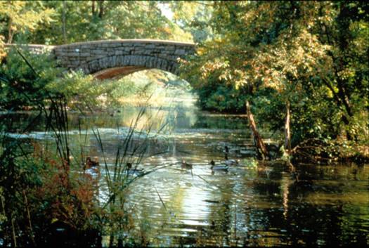 Riverway_2___ Riverway_2___