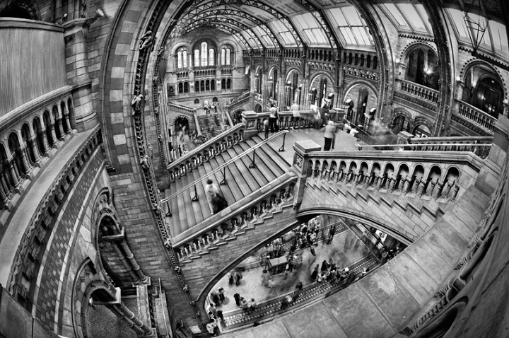 adriana sassoon BLACK AND WHITE SASSOON ARCHITECTURE