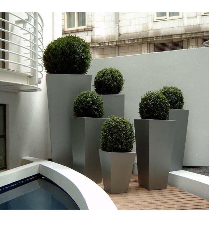 adriana sassoon design topiary decor