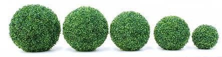 adriana sassoon design topiary sizes