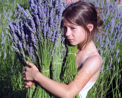 Girl at Lavender Harvest