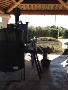 LAVENDER ADRIANA SASSOON PROVENCE