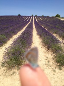 LAVENDER ADRIANA SASSOON PROVENCE